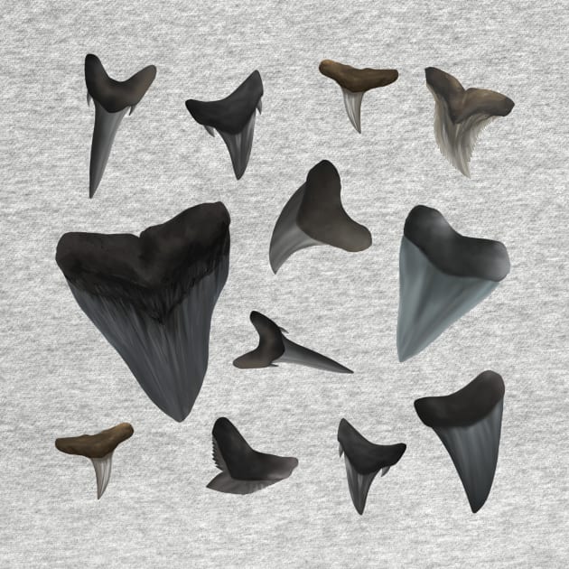 Assorted Shark Teeth by Reeseworks